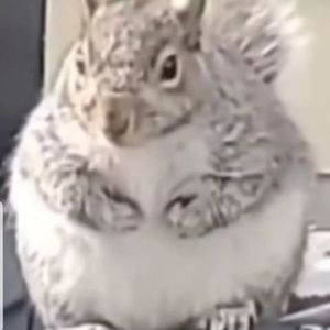 Meet your Posher, Jesus